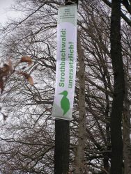 Aktion Strothbachwald Transparent