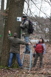 Bielefelder Naturschützer markieren Biotopbaum im Strothbachwald