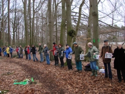 Bielefelder Naturschützer wollen Strothbachwald retten