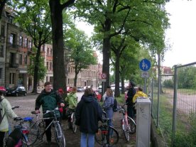 Traubeneichenalle Waldschlöschenstr.