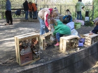 BUND-Kindergruppe Bau eines Insektenhotels