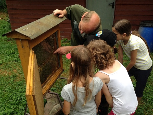 Zu Besuch bei den Honigbienen