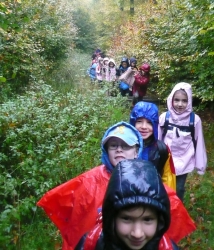 Waldtage - Naturerfahrung für Kinder